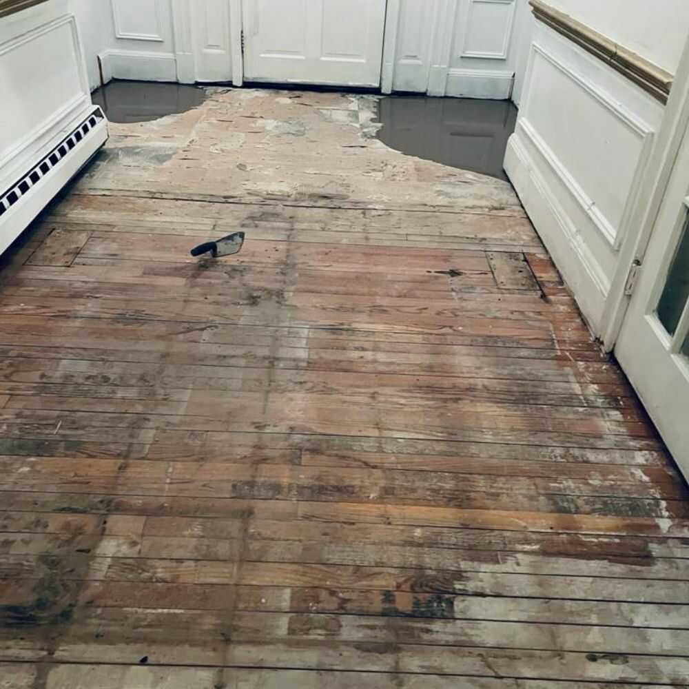 Interior Renovation Services